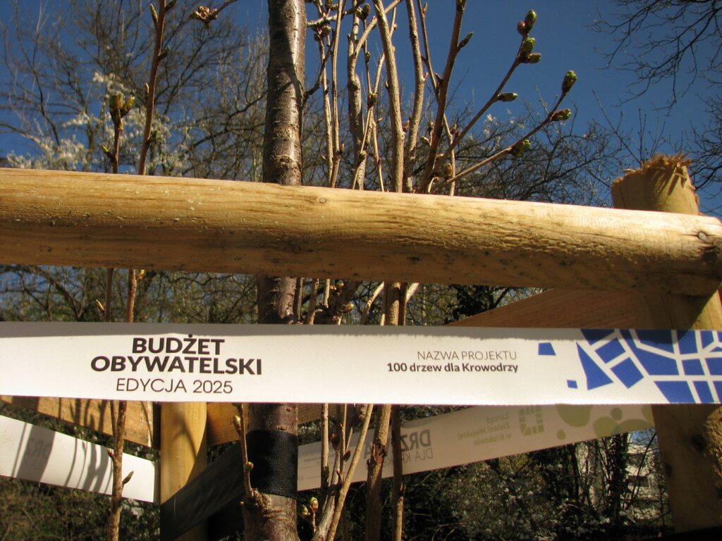 Oznaczenia projektów z Budżetu Obywatelskiego - Park Młynówka