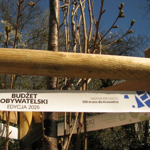 Oznaczenia projektów z Budżetu Obywatelskiego - Park Młynówka