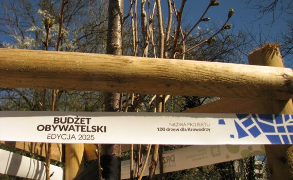 Oznaczenia projektów z Budżetu Obywatelskiego - Park Młynówka